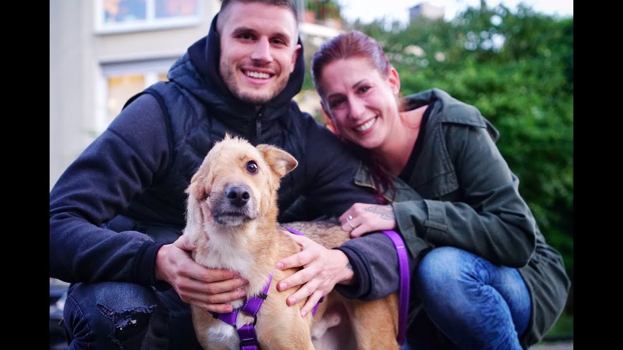 DOG THAT LOST HALF A FACE MEETS HIS FAMILY AGAIN!