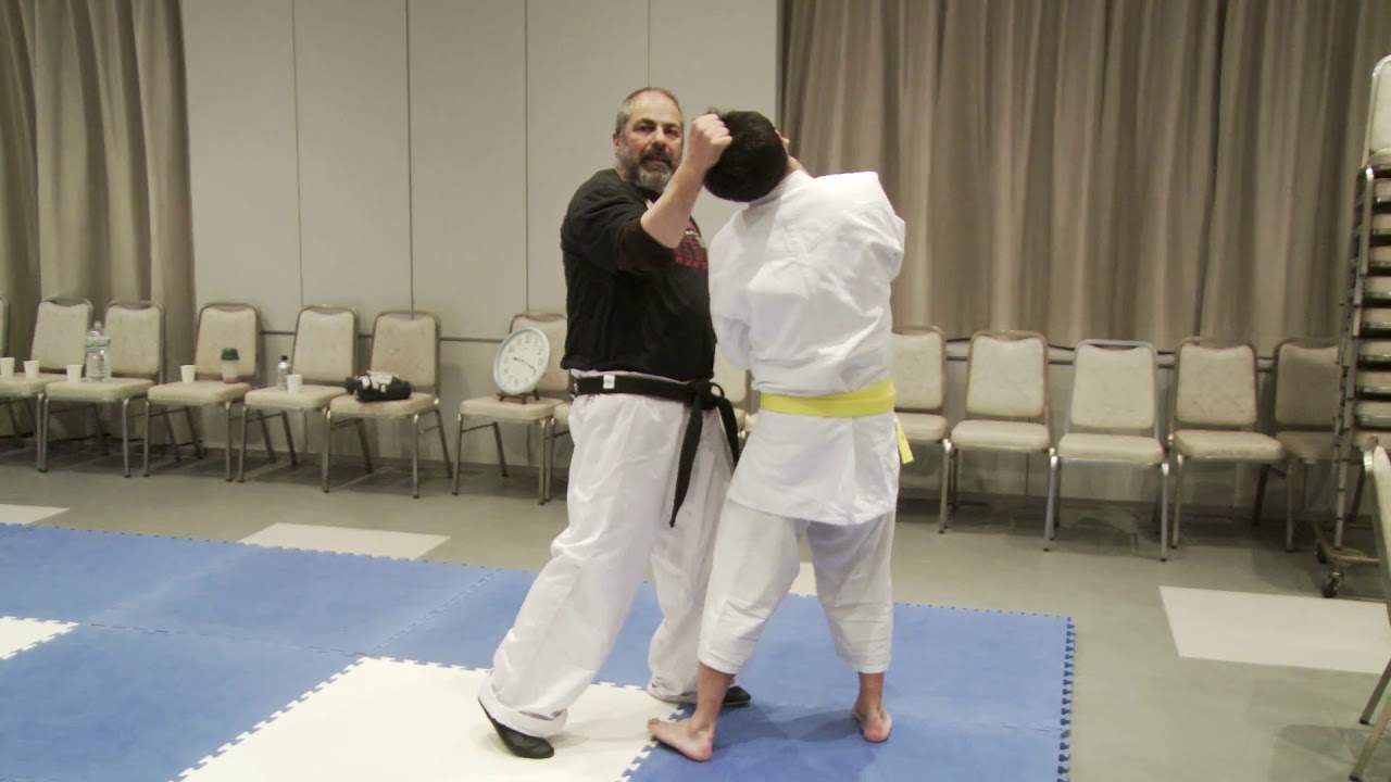 IMI Krav Maga 東京 - Introduction