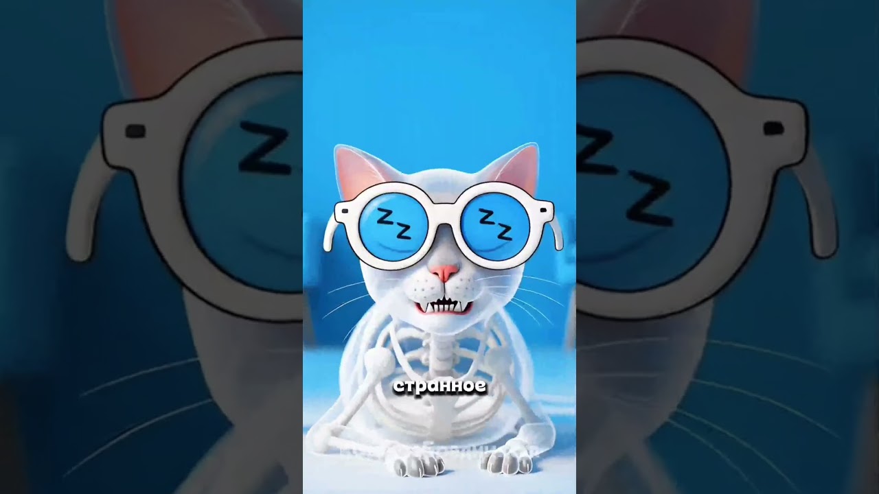 Сборник смешных видео про котов. 20 видео сборник! 