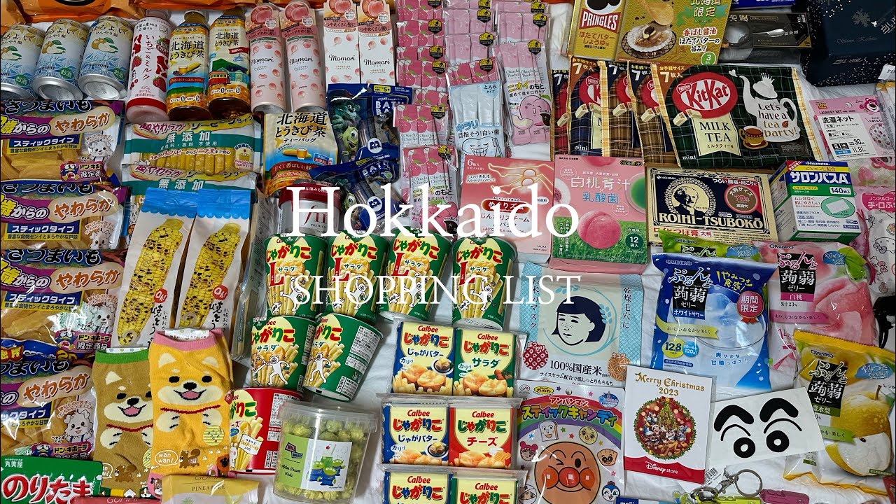 VLOG 일본 삿포로쇼핑 . 다이소 . 메가돈키 . 롯카테이 . 오타루오르골당 . 다이마루 . 스텔라플레이스 . 디즈니스토어 . 무지 . 러쉬 . 모아이상스토어 . 탁신관