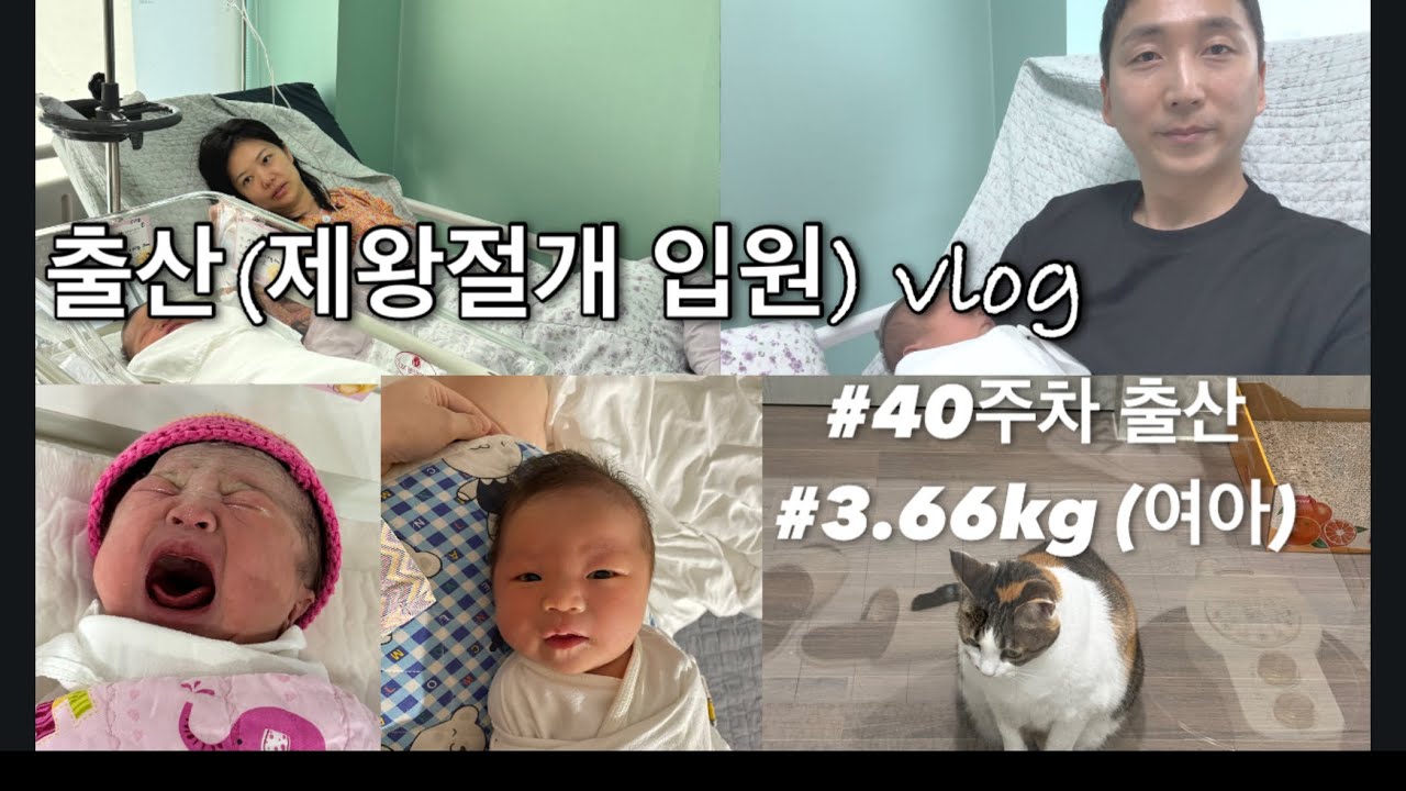출산 vlog(제왕절개 입원 feat.복복)