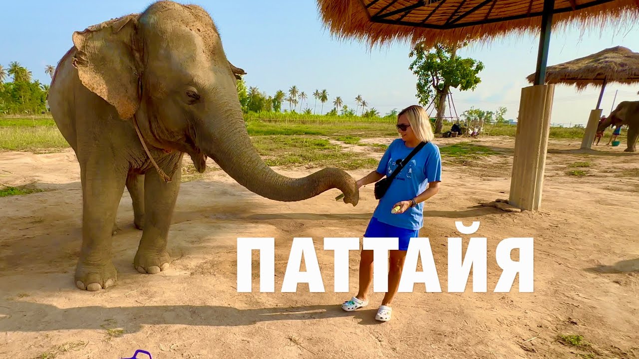 ДЕРЕВНЯ СЛОНОВ в ПАТТАЙЕ. ВПЕЧАТЛЯЮЩАЯ ЭКСКУРСИЯ.  ОТДЫХ в ТАИЛАНДЕ - ЛУЧШИЕ МОМЕНТЫ!