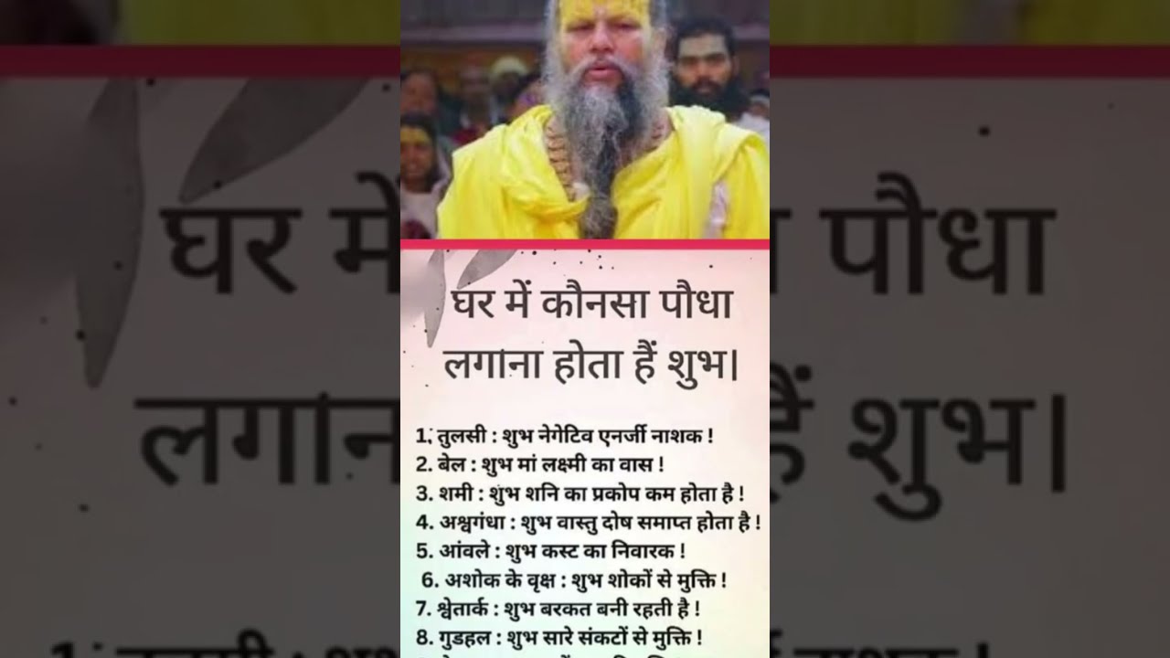 Bhajan Sandhya is live