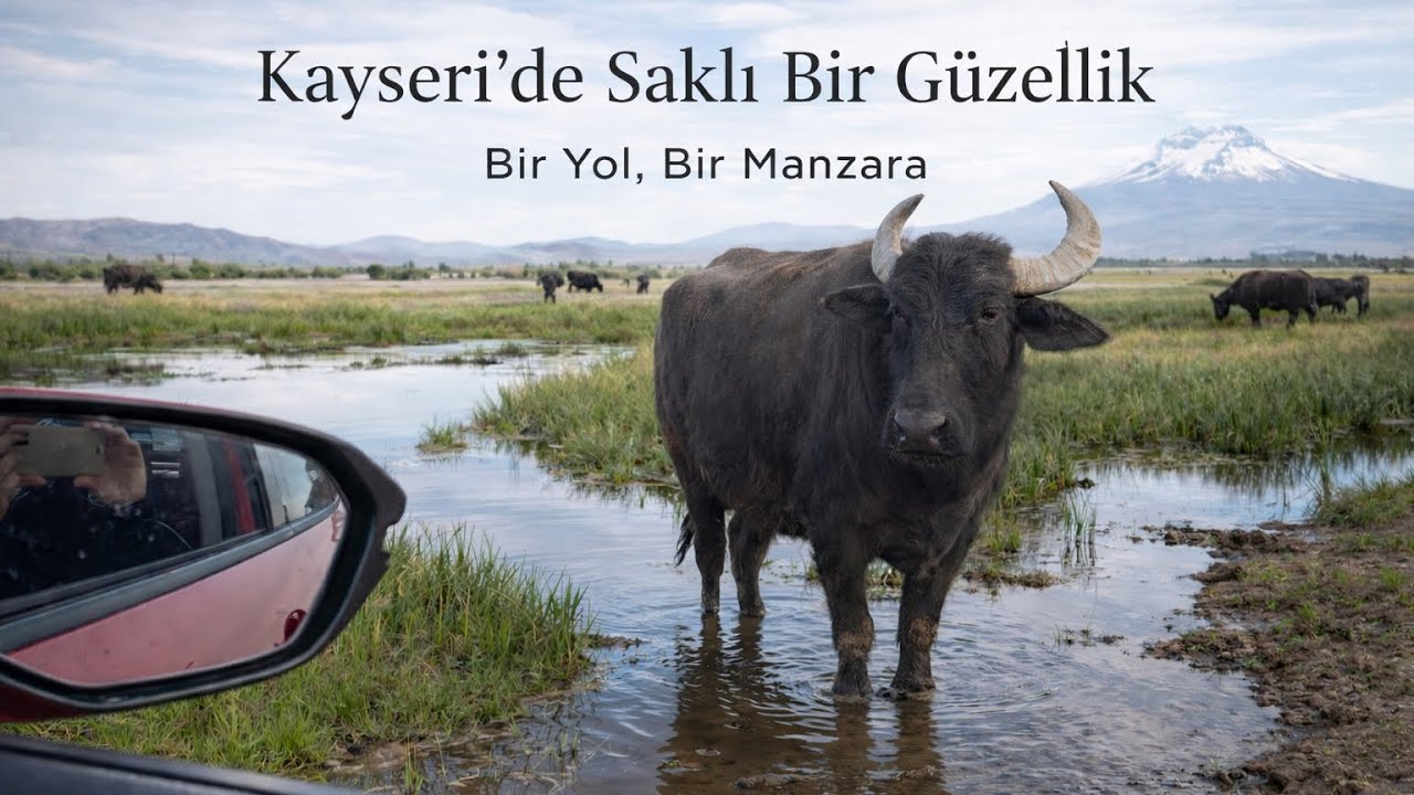 “Bir günde iki güzellik: Hürmetçi Sazlığı – Dokuz Pınar”