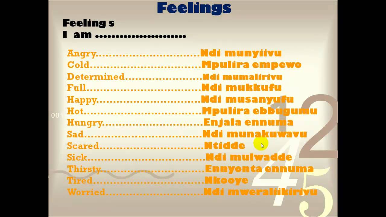 eLuganda learning basics feelings and interests