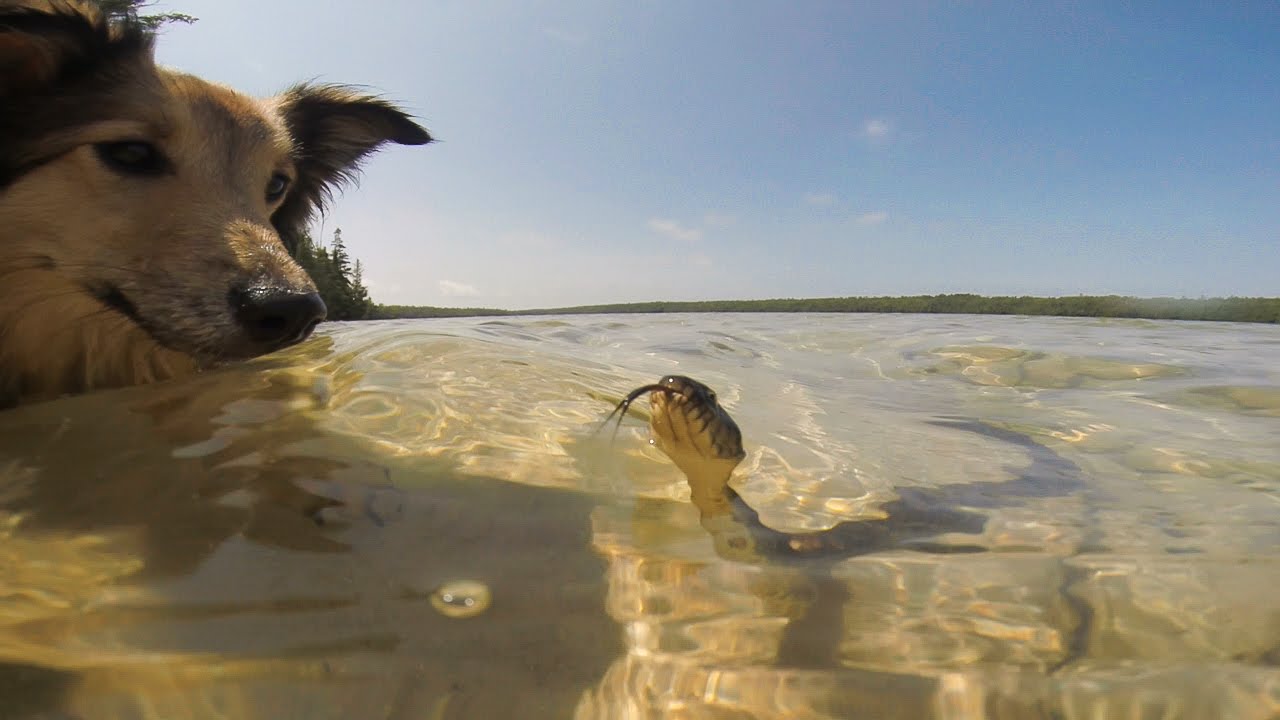 Bruce Peninsula - The Grotto & Cyprus Lake