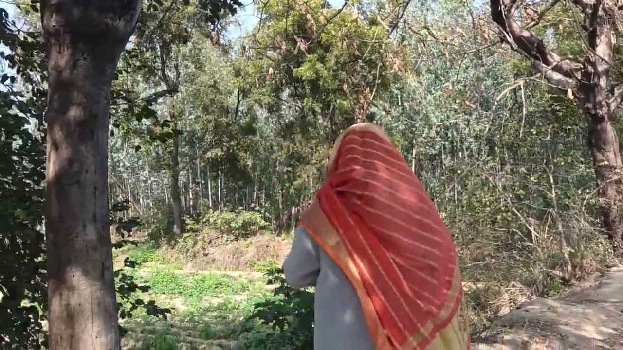 हेलो दोस्तों मेरे गांव का नजारा आप सभी लोग देखिए लोगों का स्वागत है हमारे ब्लॉक में