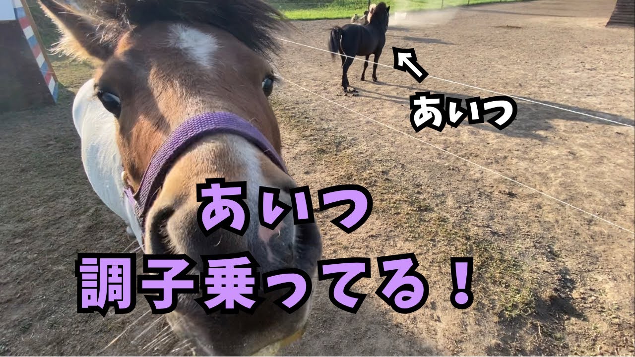 自分を脅かす強キャラのいない間にやりたい放題の弱キャラ