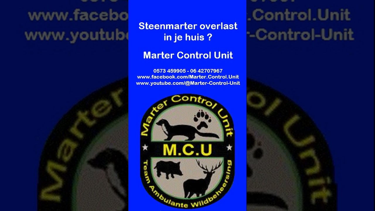 64 Overlast van een steenmarter in huis ? Bel ons !  Marter Control Unit - 0573 459905 - 06 42707967