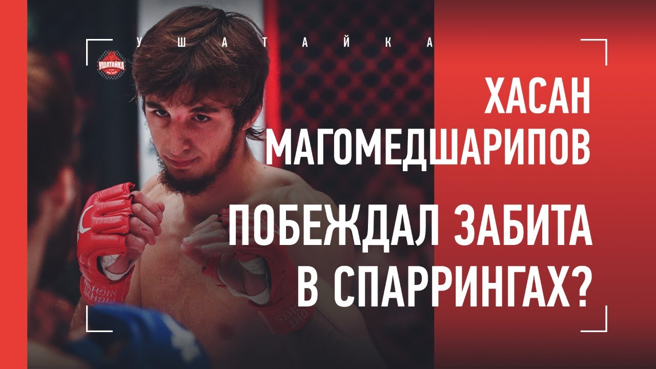 Брат Забита: 