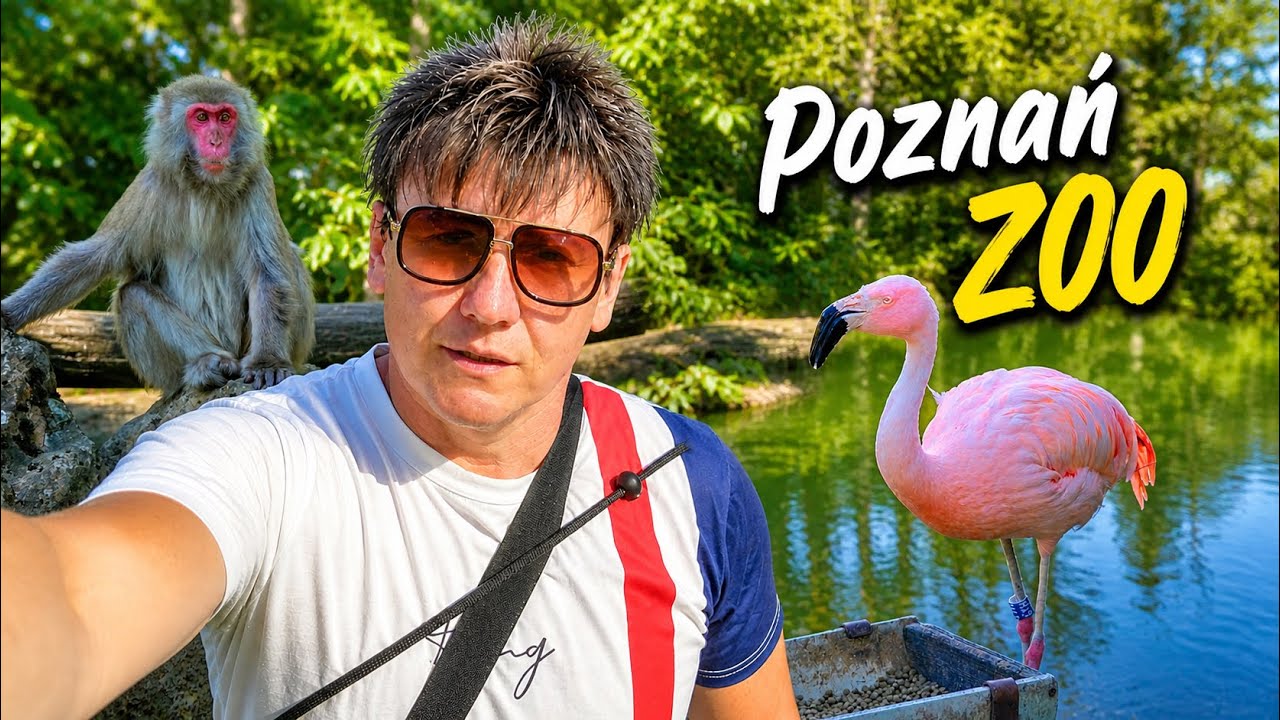 Dzika przygoda w sercu miasta - Nowe Zoo Poznań