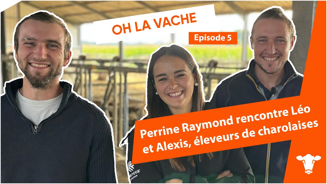 OH LA VACHE épisode 5 : Perrine Raymond rencontre Léo et Alexis, éleveurs de charolaises
