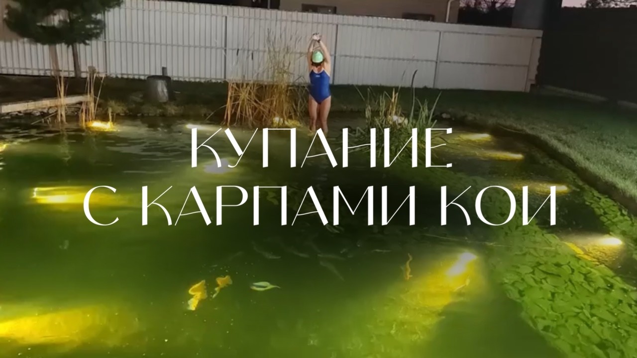 Купание В ПРОЗРАЧНОМ ПРУДУ под ОТКРЫТЫМ небом с КАРПАМИ КОИ #купание #плаванье