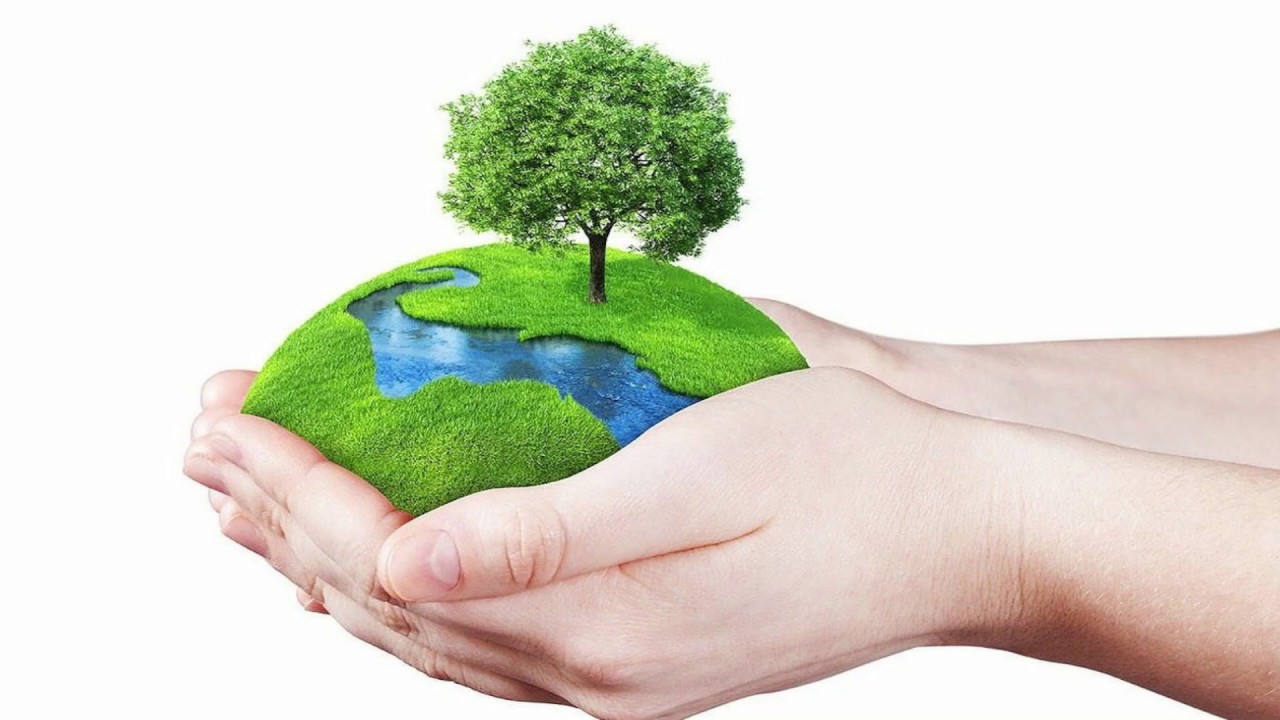 Happy World Environment Day | Jetsup Holidays