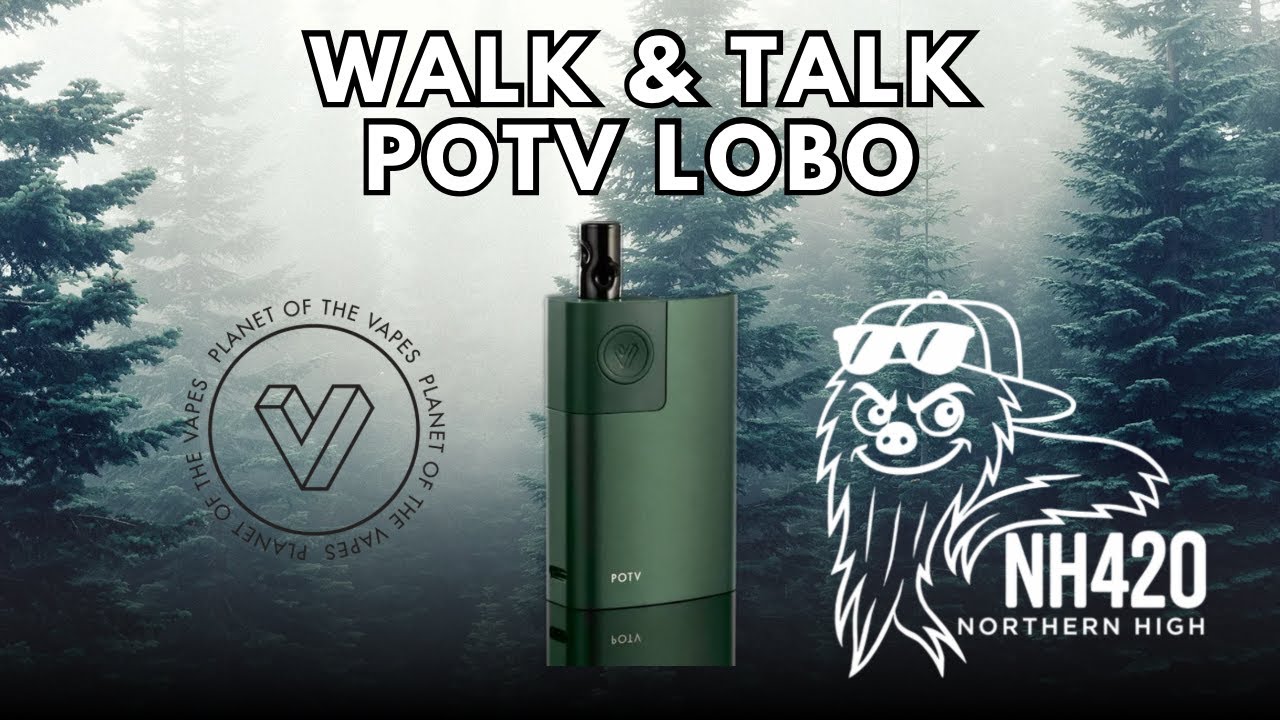 Lobo: Walk & Talk