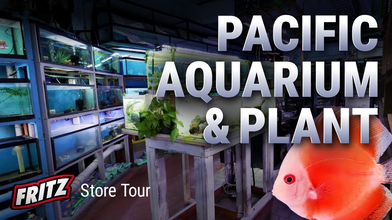 One of the Few Remaining Fish Stores in NEW YORK