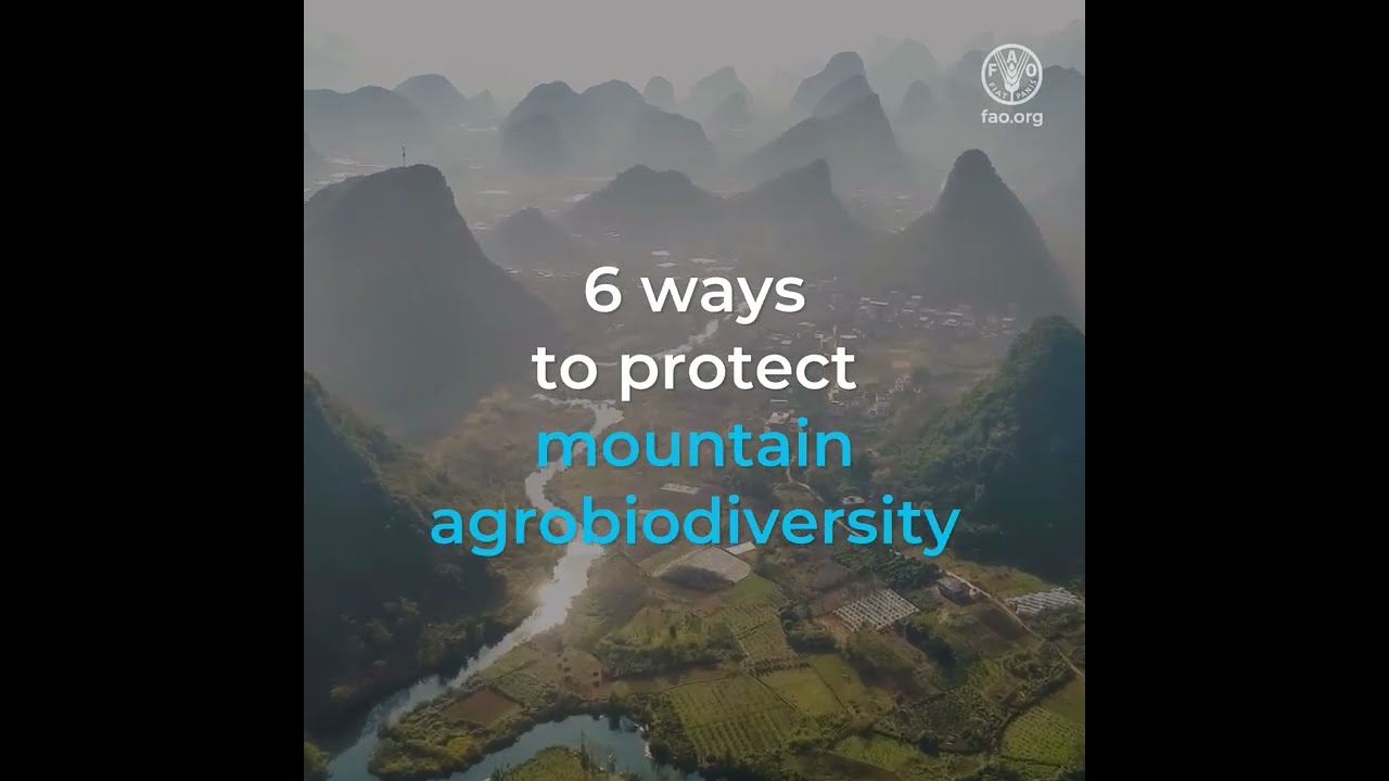 6 ways to protect mountain agrobiodiversity