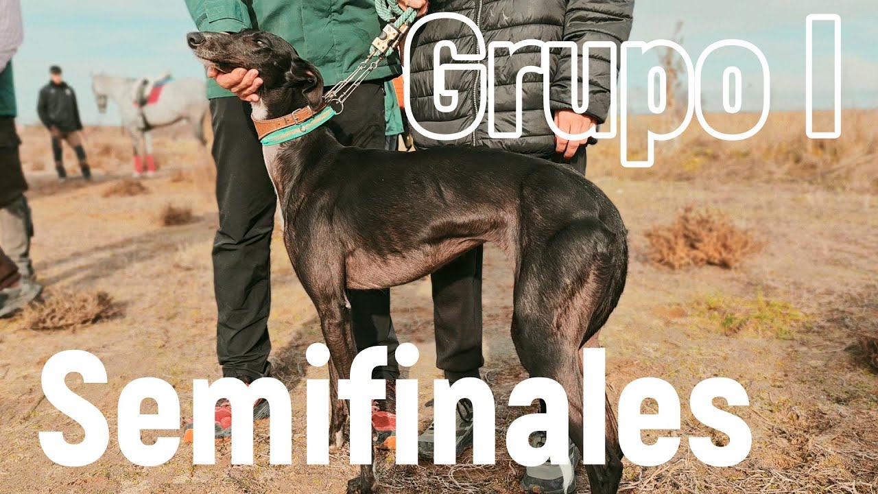 Fase de Semifinales del Grupo 1 en los Pradillos, Diciembre 2025