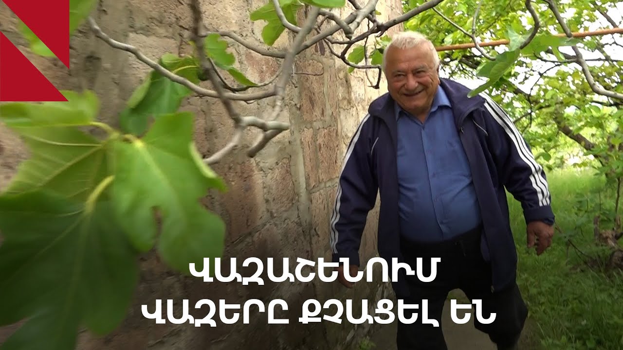 Վազաշեն, Տավուշ․ մաշվող գյուղի առօրյան