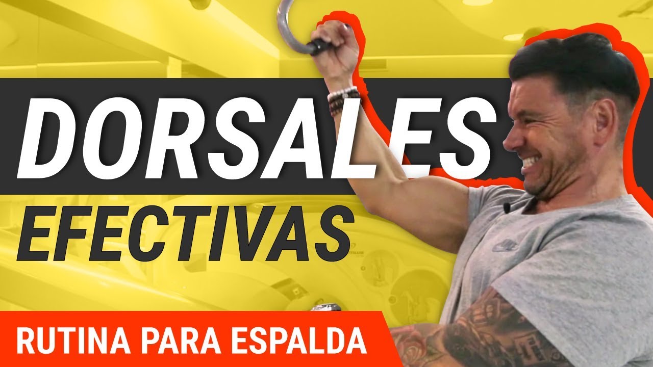 5 Mejores Ejercicios De Dorsales [ Rutina De Entrenamiento ]