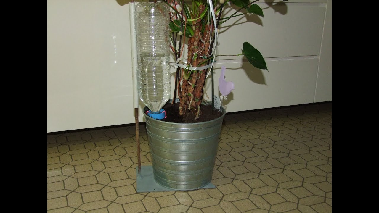 Fabriquer des goutteurs fiables pour le potager, vos jardinière, ou vos culture d'intérieure.