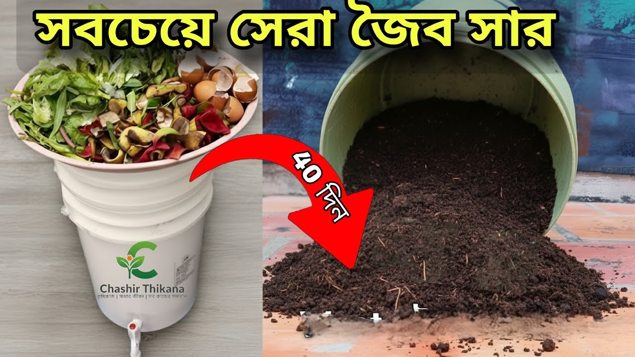 বিনা খরচে বাড়িতেই তৈরি করুন শক্তিশালী জৈব সার | How to make Organic Fertilizer at home