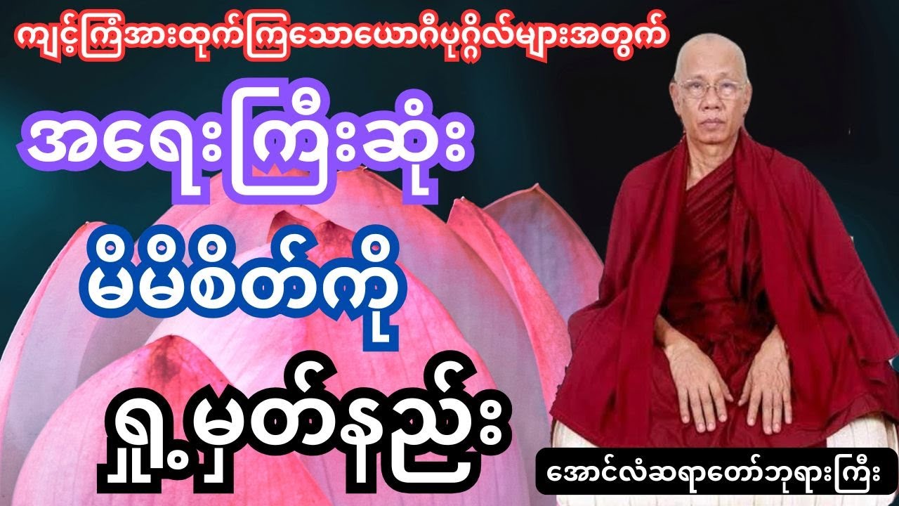 မိမိစိတ်ကို ရှု့မှတ်နည်း  (စိတ္တာနုပဿနာ)