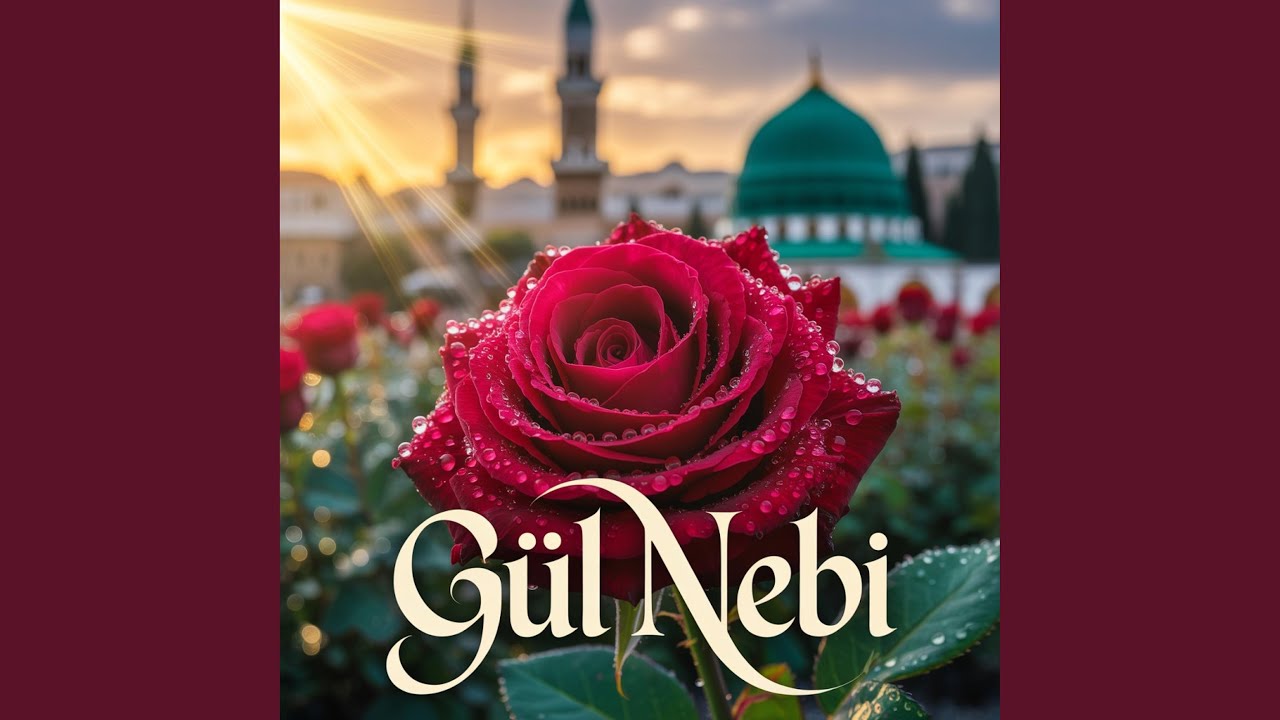 Gül Nebi