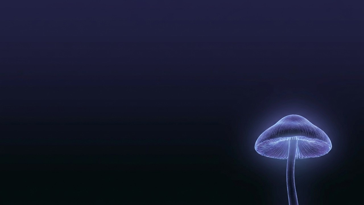Music for Mushrooms - Cellular Repair & Wellness