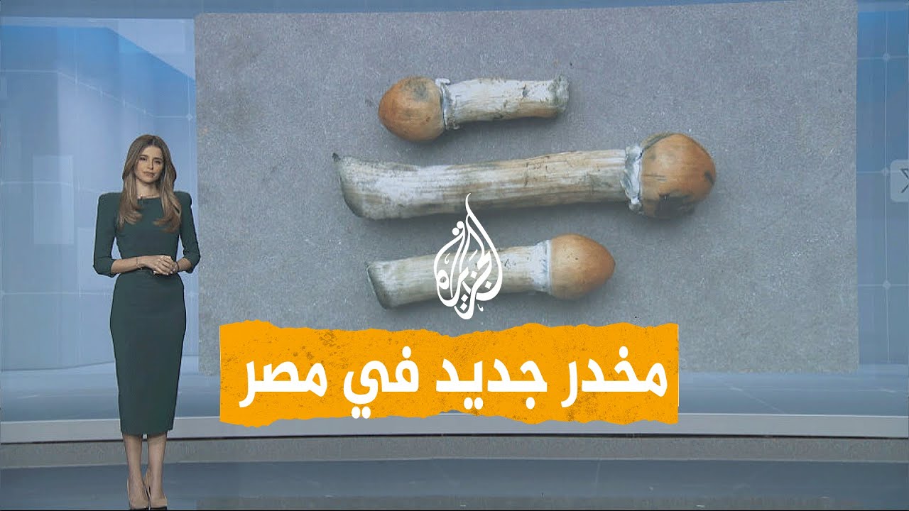 شبكات | 