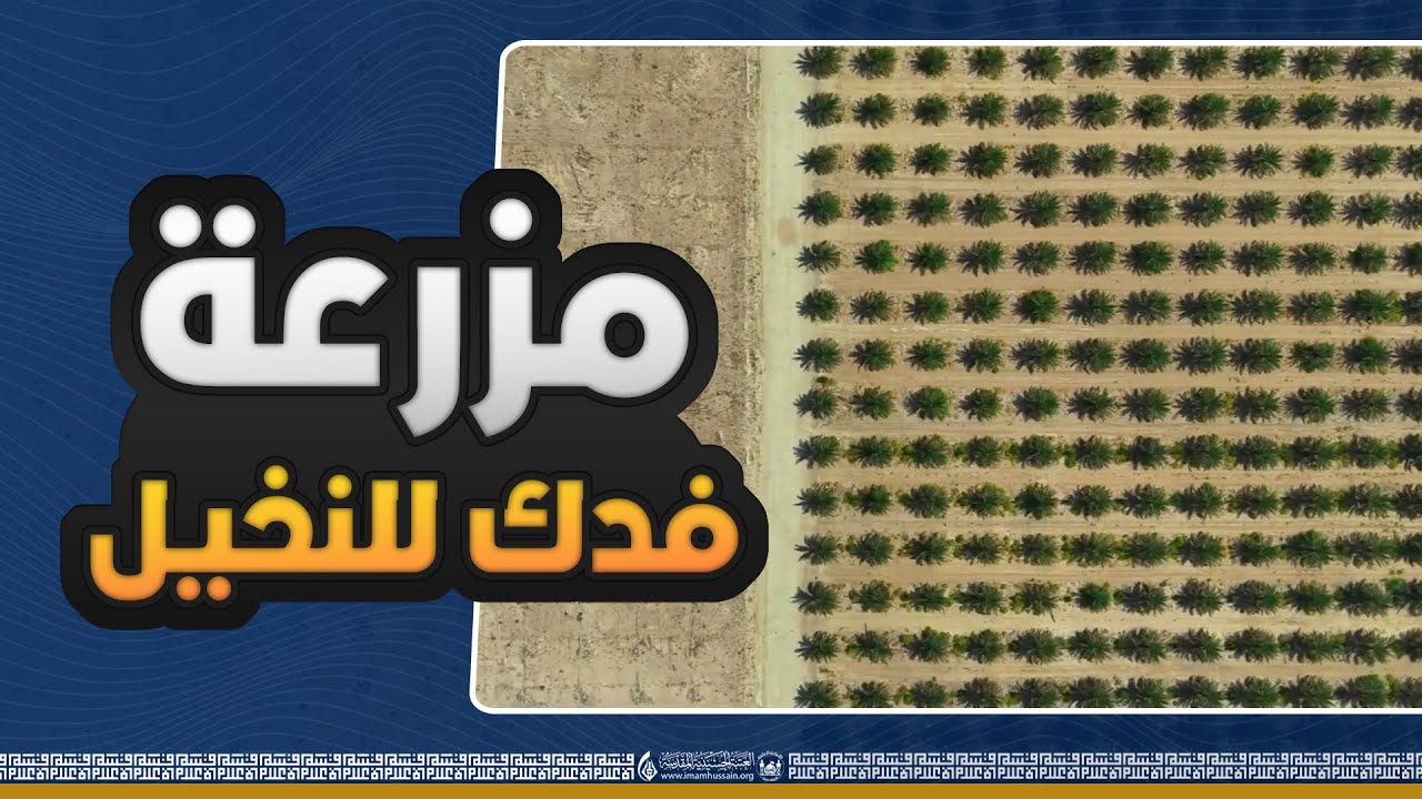 مزرعة فدك للنخيل التابعة للعتبة الحسينية المقدسة