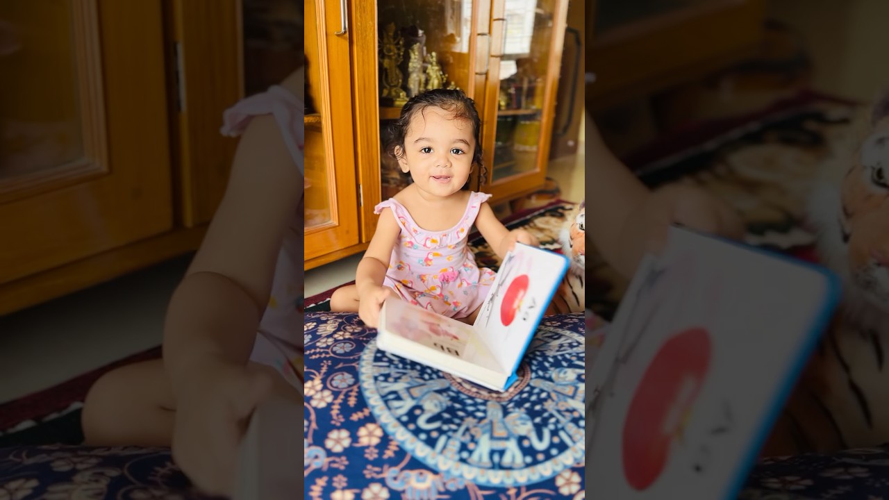 Book Recommendation for a 1 Year Old Toddler 📕 #shorts