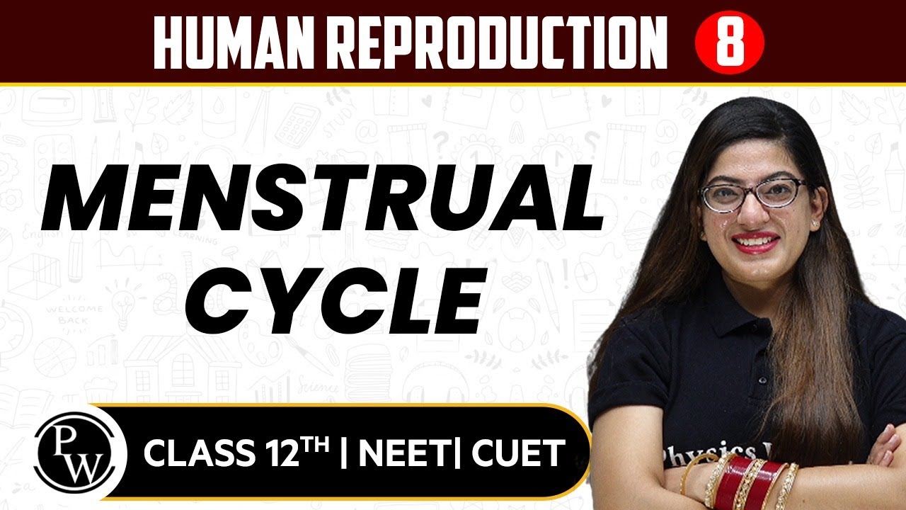 Human Reproduction 08 | Menstrual Cycle | Pure English | 12th / NEET
