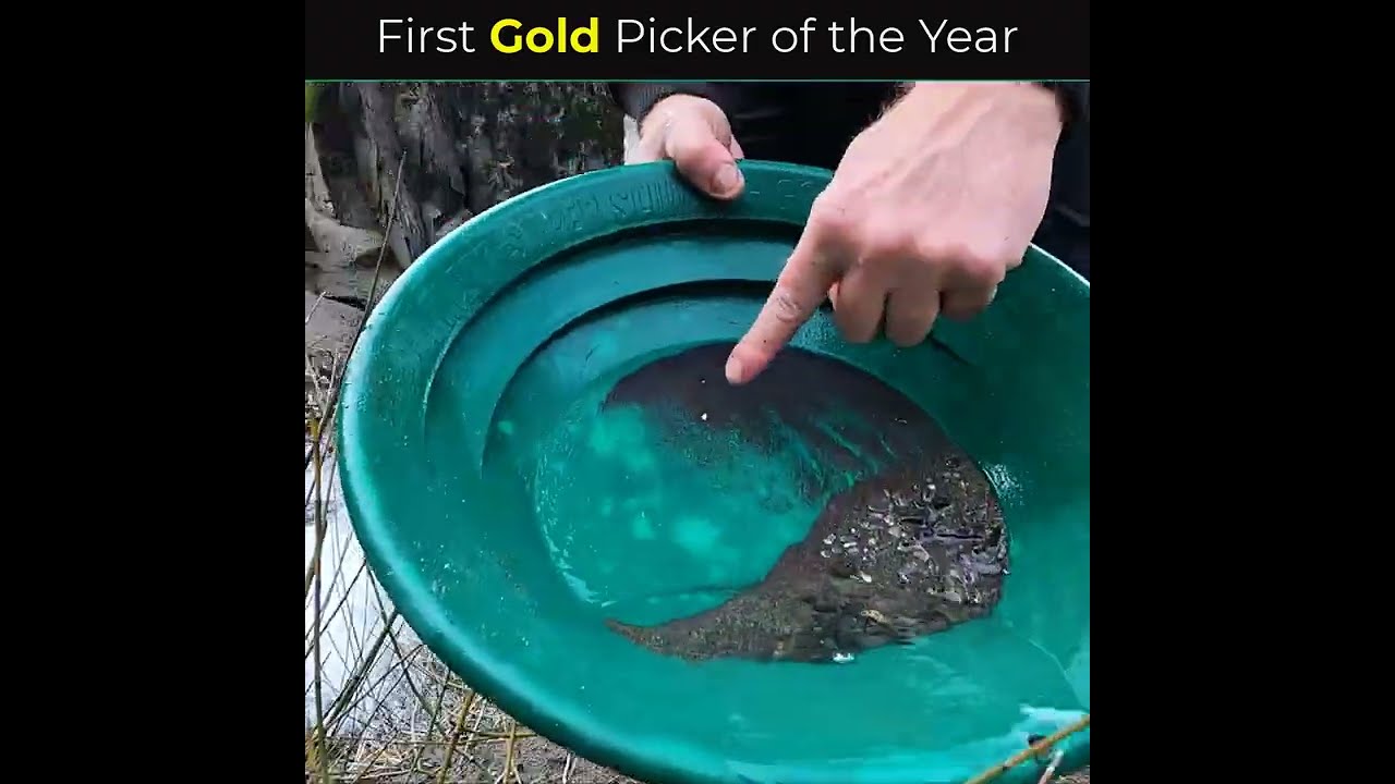 First gold Picker of the year.  PICKERTON!