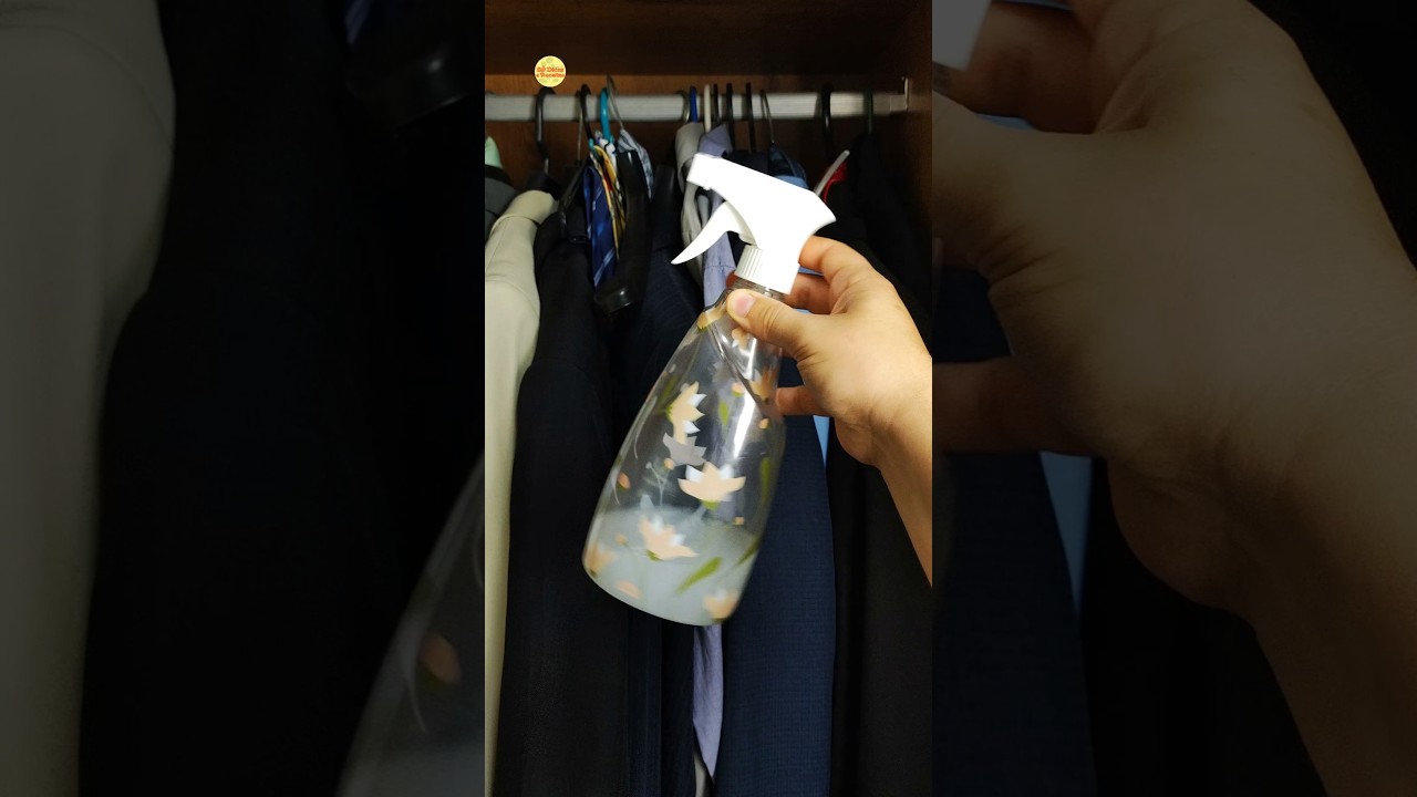 Como Tirar O Cheiro De Mofo Das Roupas Guardadas Sem Precisar Lavar! #roupas #mofo #dicas #receitas