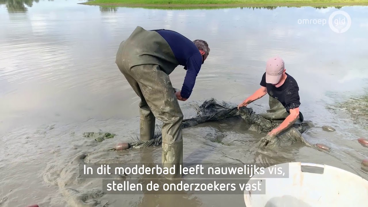 Overloopgebied is een kraamkamer voor vissen