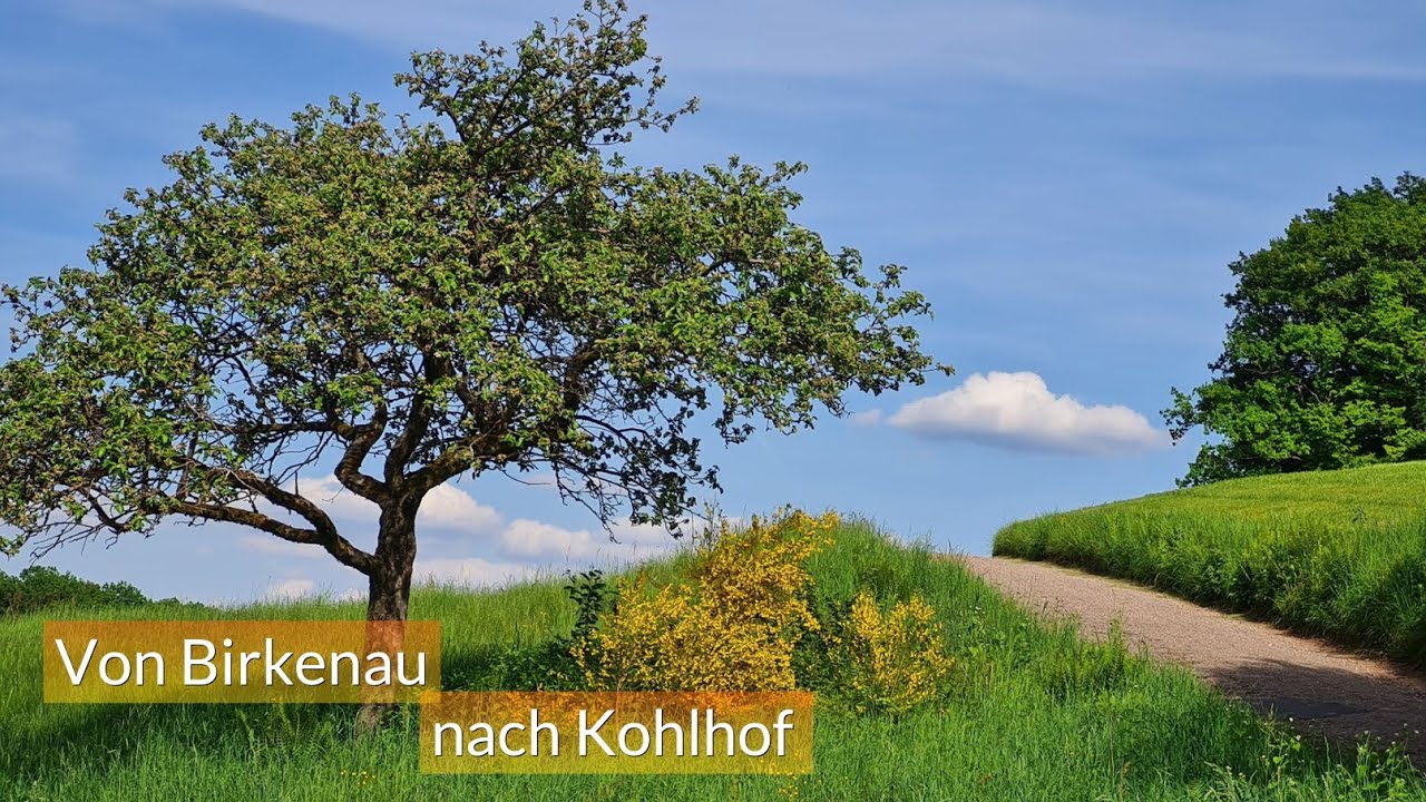 10|05 Von Birkenau nach Kohlhof