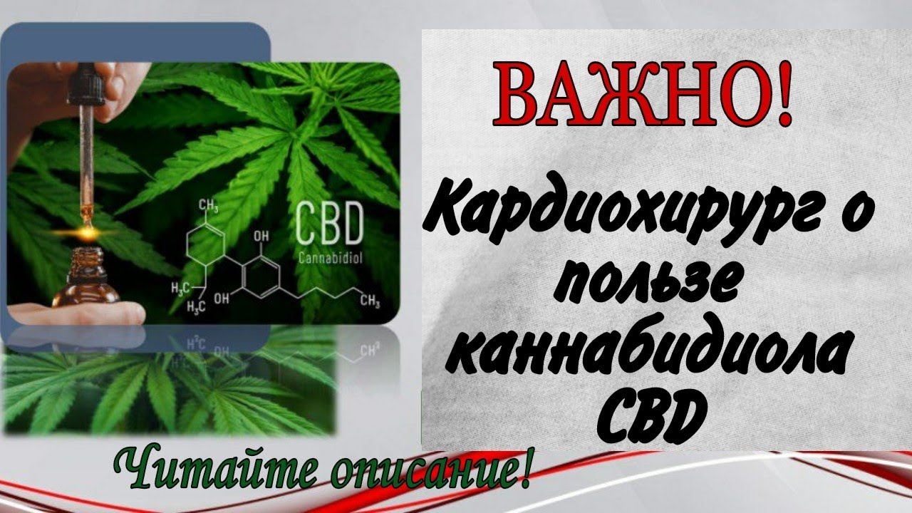 #СЕНСАЦИЯ Кардиохирург о пользе CBD #каннабидиол
