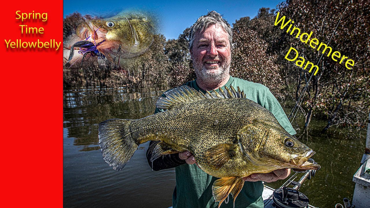 Early Spring catching Yellowbelly at Windemere Dam