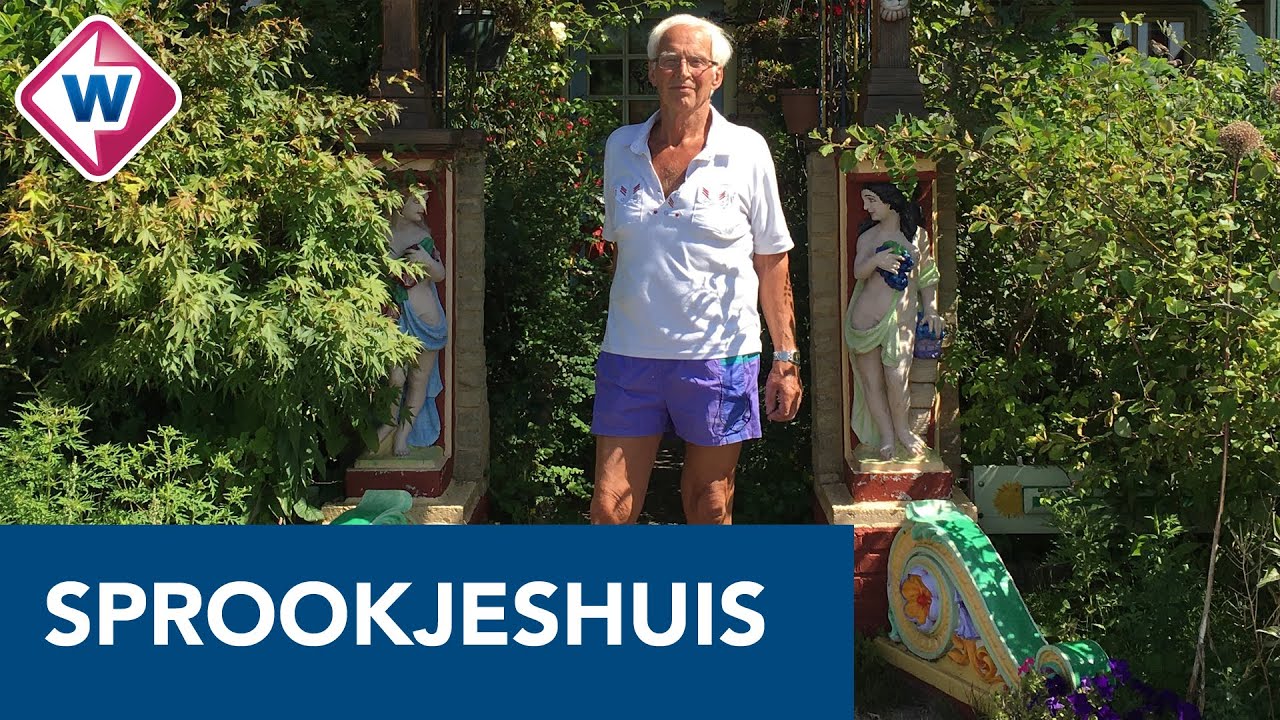 Harry bouwt al 55 jaar aan zijn sprookjeshuis in Lisse - OMROEP WEST