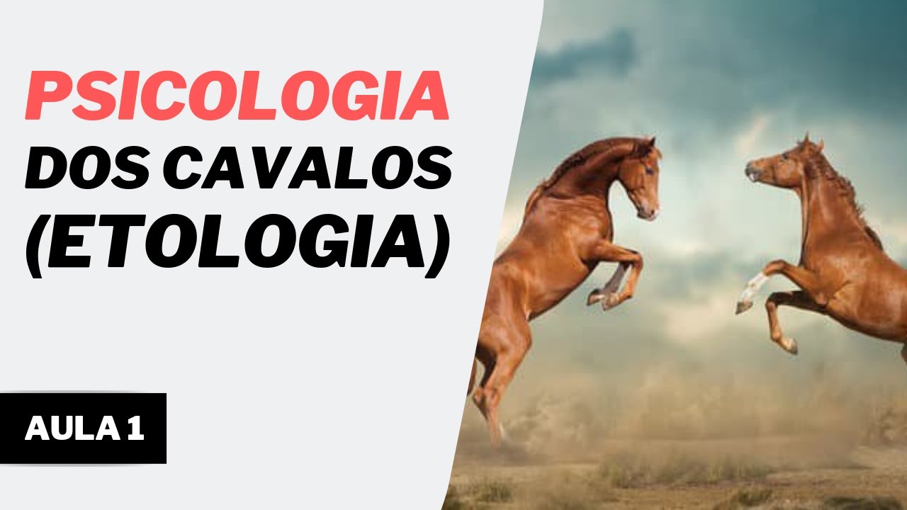 Aula 1 - Psicologia dos Cavalos (Etologia)