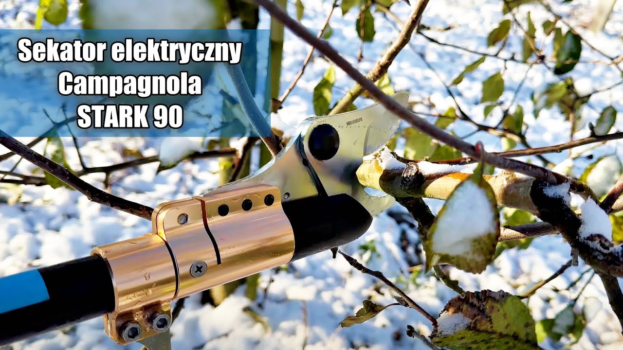 Sekator elektryczny Campagnola STARK 90 do pracy w sadzie na sezon 2024 ( oraz inne rozwiązania )