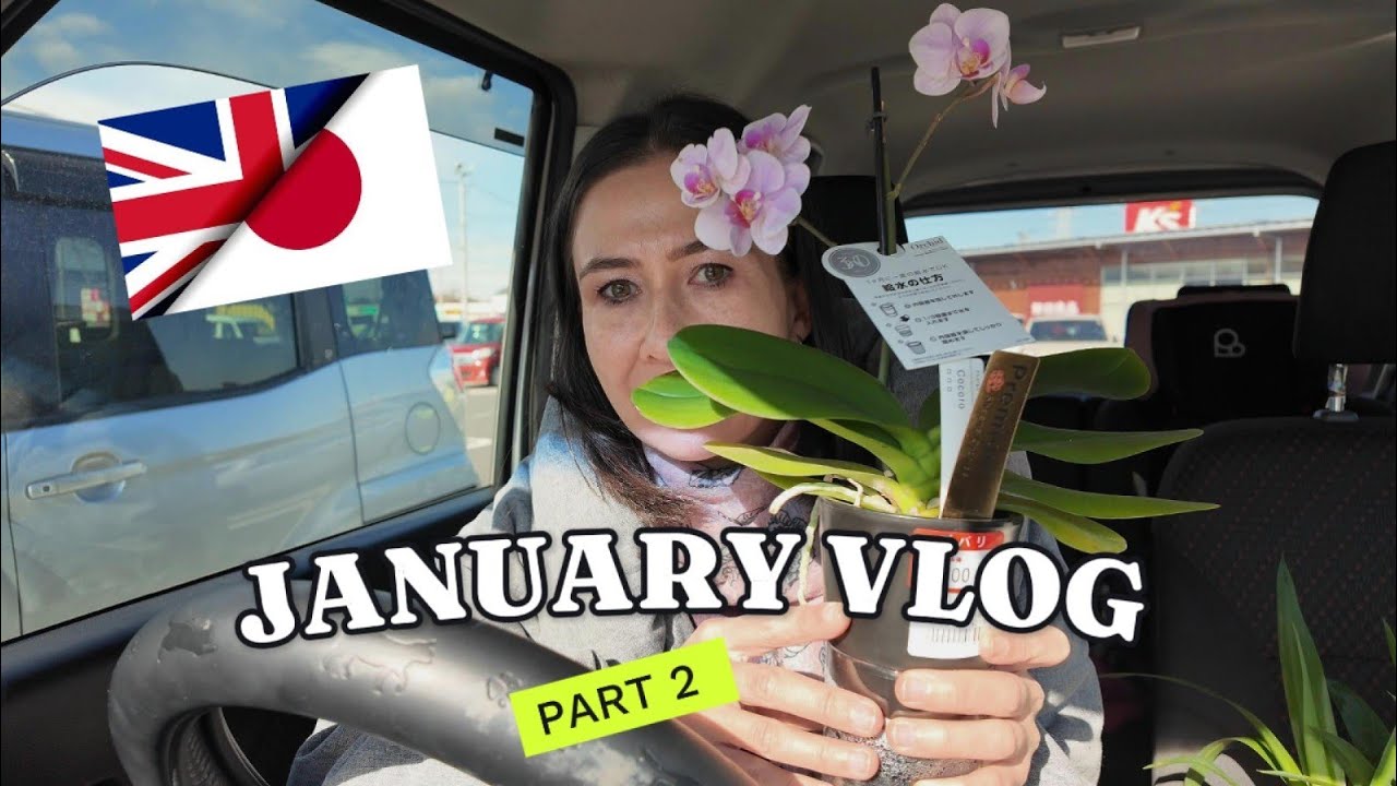 British Family Living In Japan | January #Vlog  Part 2 | New Year Celebrations Continue! 🎍 #japan
