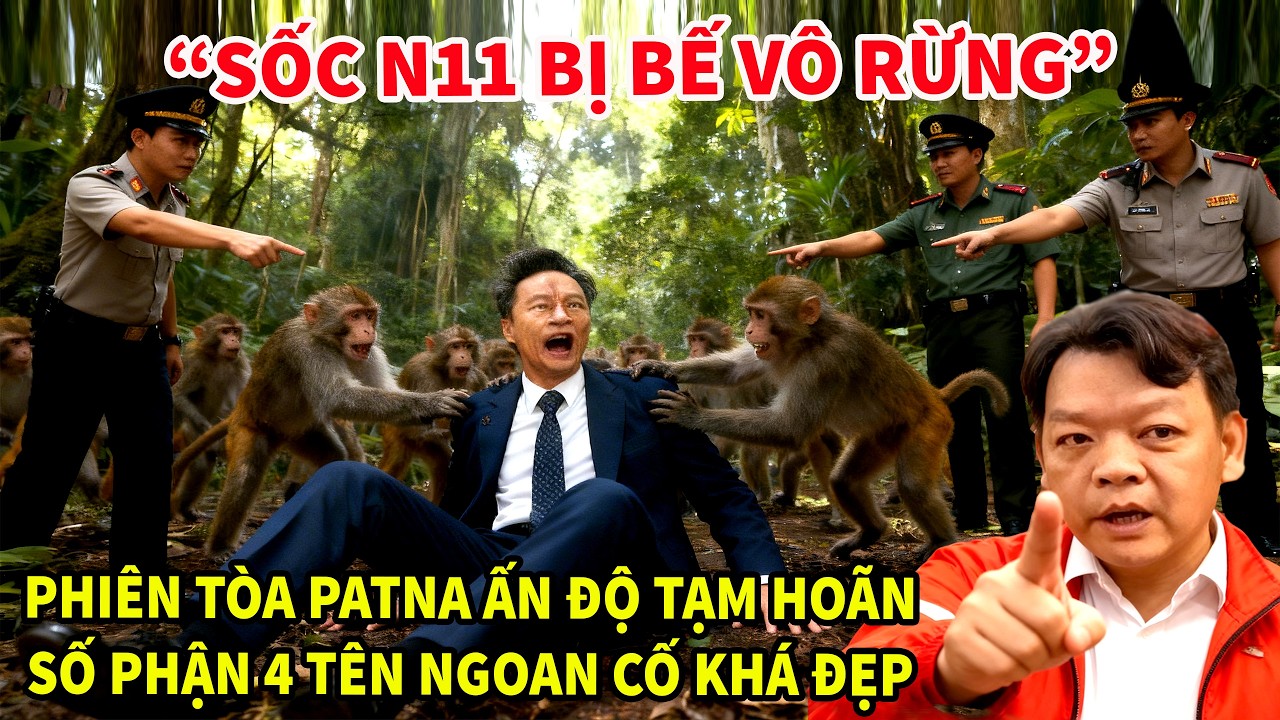 Cực nóng N11TV bị bế vô rừng,Phiên tòa Patna Ấn Độ tạm hoãn,cái kết khá đẹp.