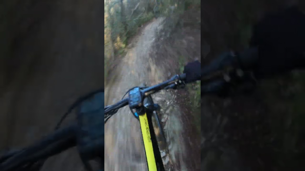 team @pro360bikes