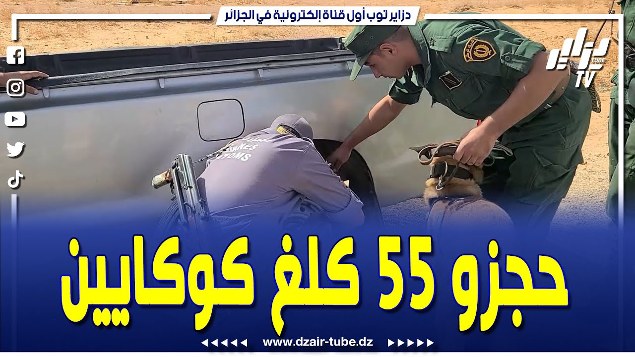 شاهد  🛑 #الدرك الوطني بالبيض يحبط عملية تهريب خطيرة ويحجز 55 كلغ من الكوكايين مع توقيف 4 متورطين 🚔