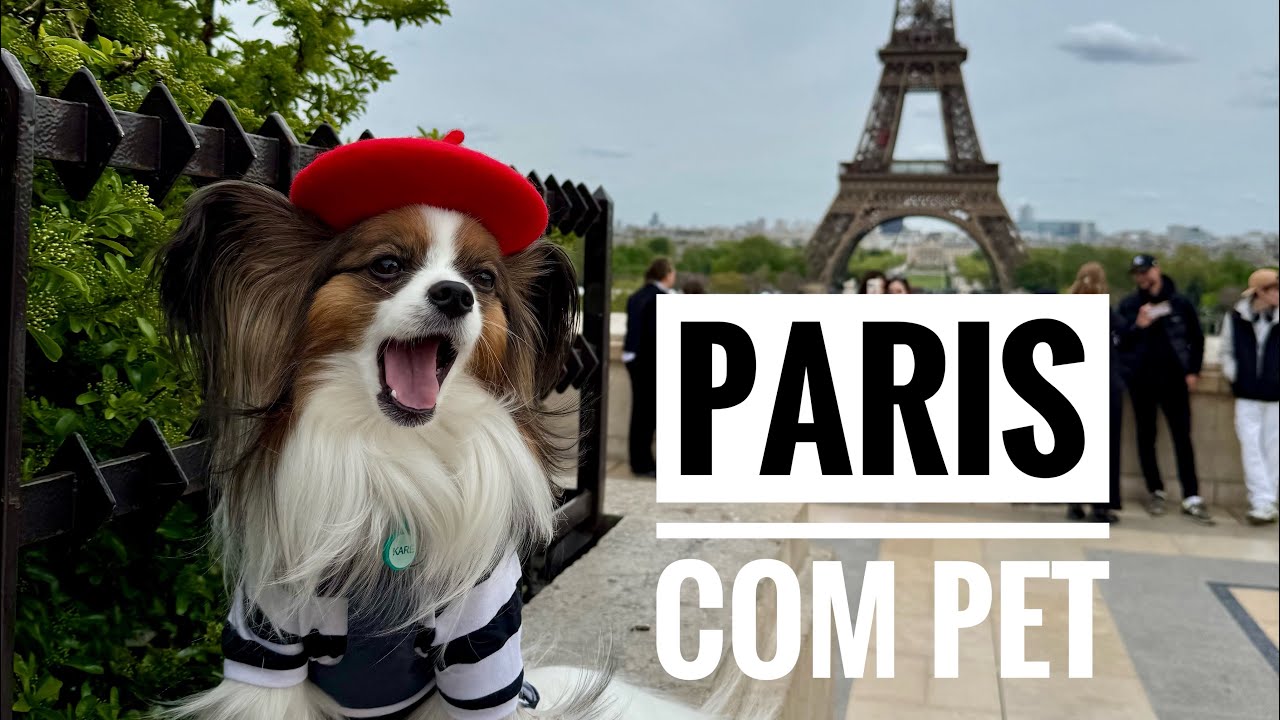 Paris com pet