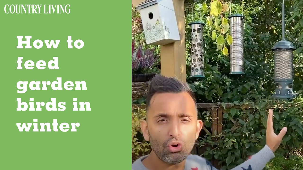 How to feed garden birds in winter with Dr Amir Khan | Country Living UK
