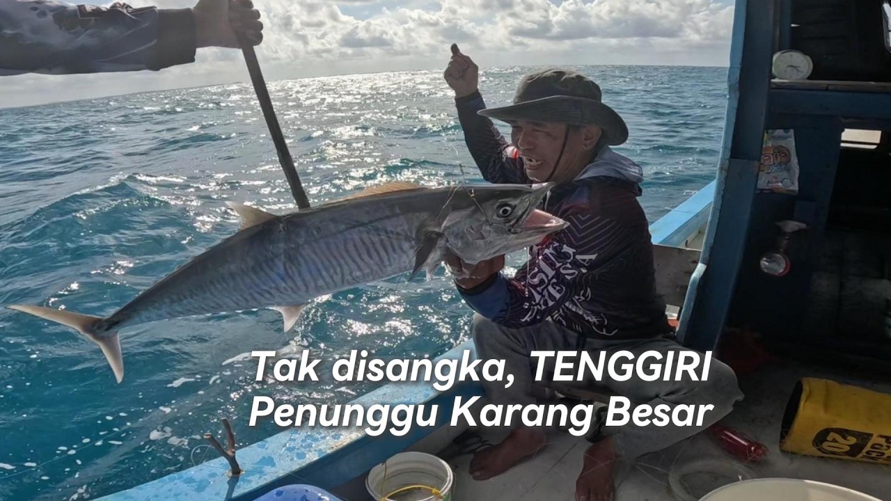 Tenggiri Besar penunggu karang!!