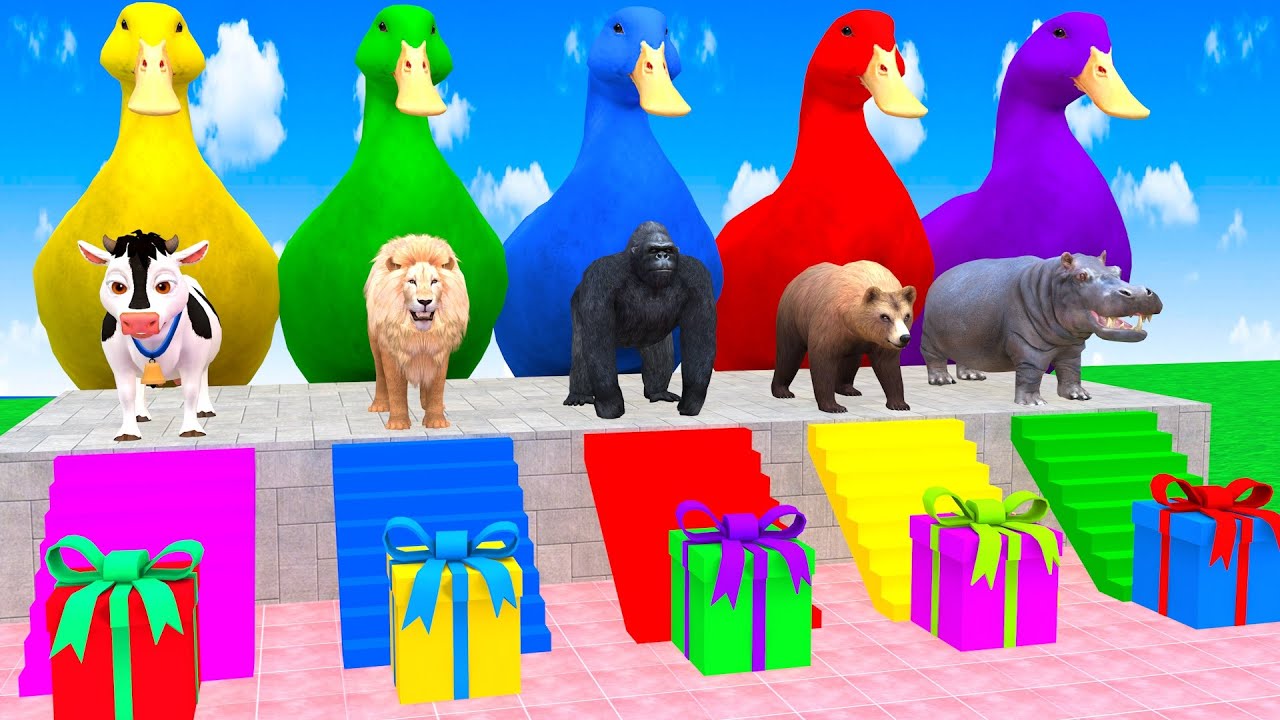 Long Slide Game With Elephant Cow Lion Gorilla Bear Hippopotamus 3d Animal Game Funny 3d Animals